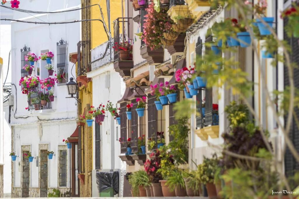 Casa "Las Flores" Barbate Eksteriør bilde